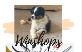 10% Off On Your Order