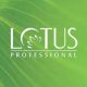 Lotus Professional