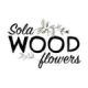 Sola Wood Flowers