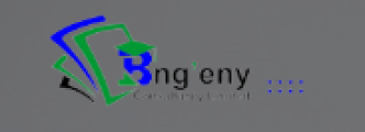 Bngeny Consultants