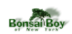 Bonsai Boy of New York